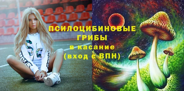 a pvp Абинск